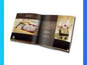 10+ Mẫu catalogue yến sào ấn tượng khách hàng tốt nhất