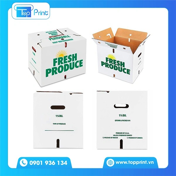 Thùng Carton Đựng Hoa Quả