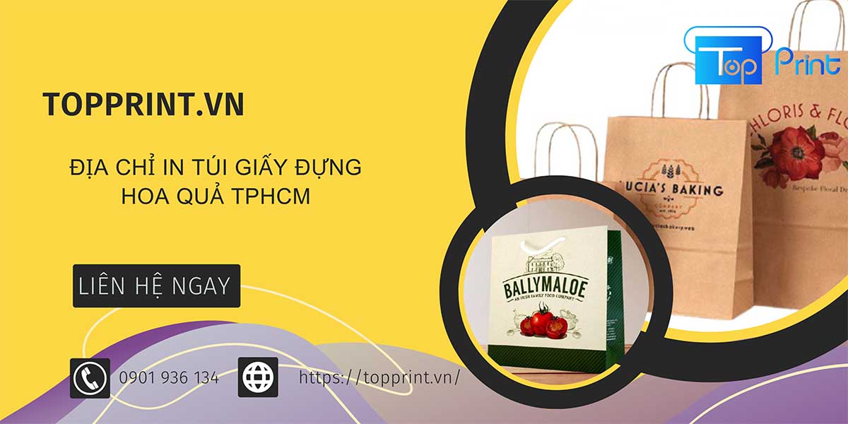 Địa chỉ in túi giấy đựng hoa quả TPHCM - Topprint