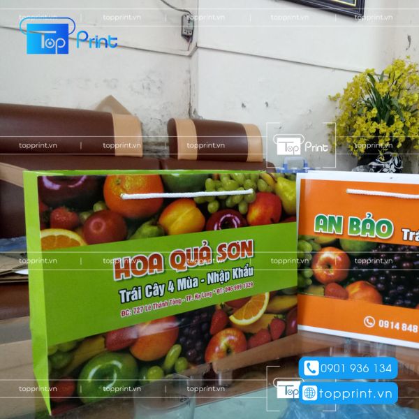 In ấn chất lượng cao trên túi vải hoa quả