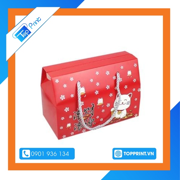 Mẫu hộp giấy in ấn hình ảnh ngày tết rực rỡ, hân hoan