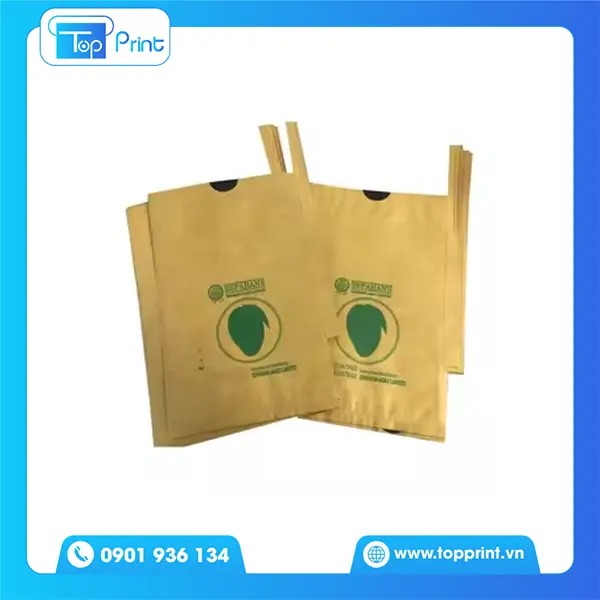 15+ Mẫu Túi Giấy Bao Xoài Đẹp, Chất Lượng, Bền Bỉ
