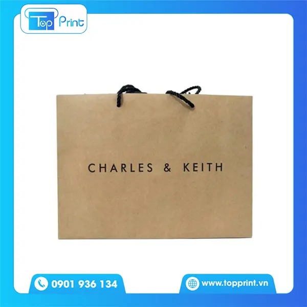 15+ Mẫu Túi Giấy Charles & Keith Đẹp, Sang Trọng, Đơn Giản