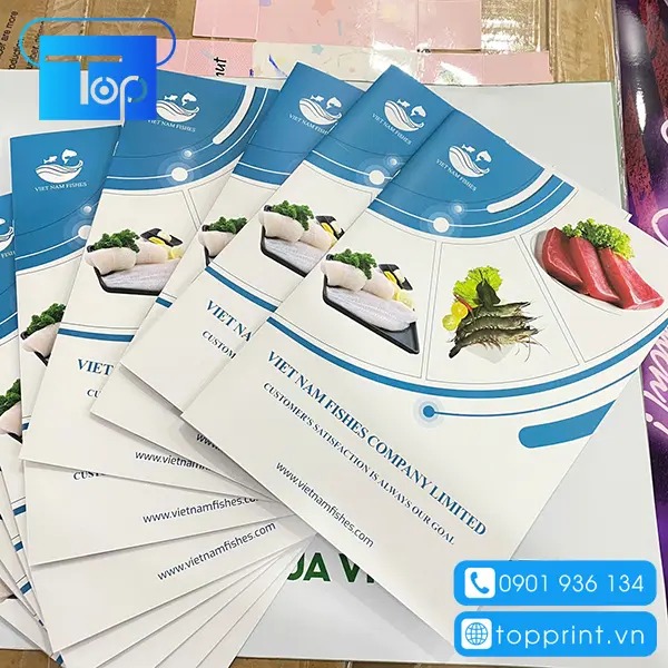 Catalogue-dep-1