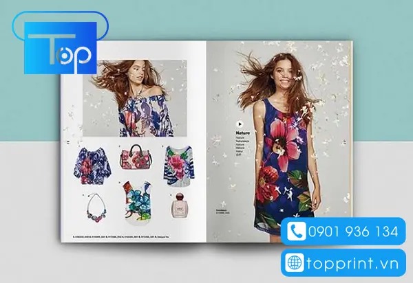 Catalogue-dep-6