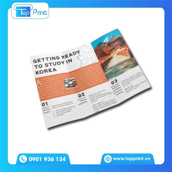 10+ Mẫu brochure du học đẹp được yêu thích nhất