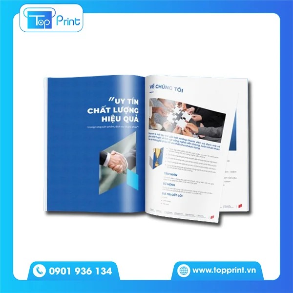 Catalogue Giới Thiệu Công Ty