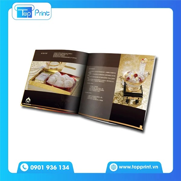 10+ Mẫu catalogue yến sào ấn tượng khách hàng tốt nhất