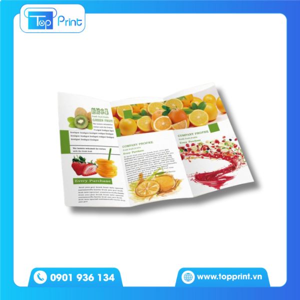 Top 22+ mẫu Brochure trái cây đẹp nhất được khách hàng yêu thích