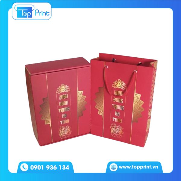 15+ Mẫu Túi Giấy Đông Trùng Hạ Thảo Đẹp, Ấn Tượng