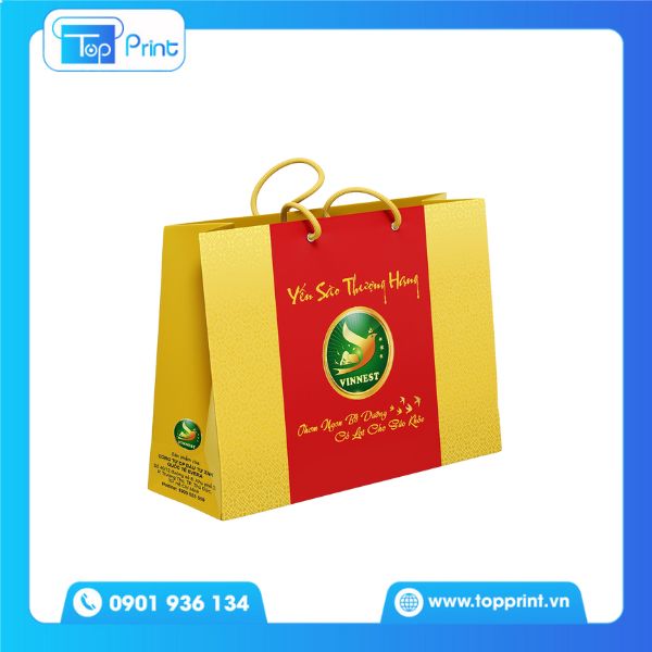 15+ Mẫu Túi Giấy Đựng Yến Sào Đẹp, Ấn Tượng